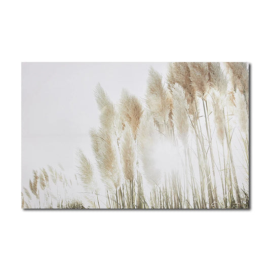 Soft Pampas Meadow Canvas Print