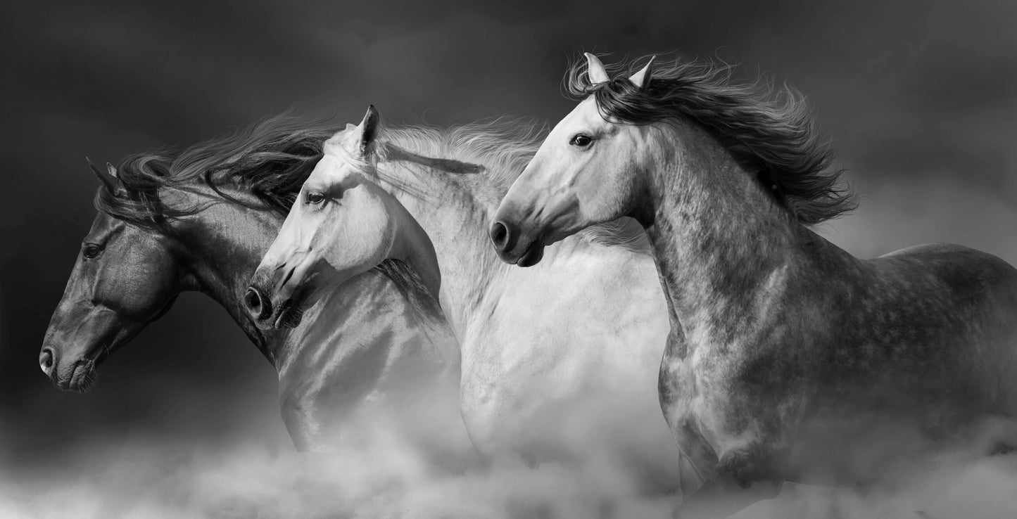 three running horses dynamic animal canvas wall art