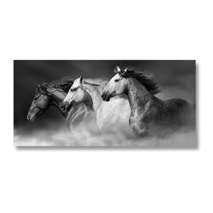 Veil of Mist Three Horses Panoramic Canvas Print