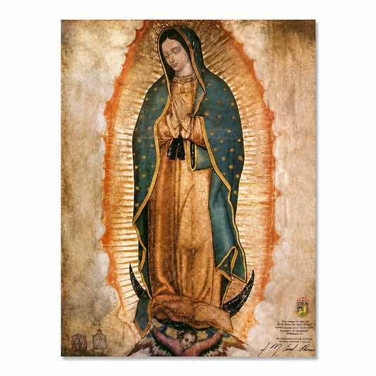 Virgin of Guadalupe Canvas Print