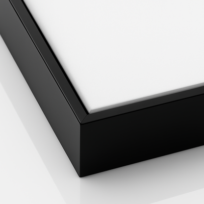 Black Metal Floating Canvas Frame