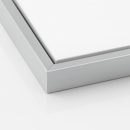 Silver Metal Floating Canvas Frame