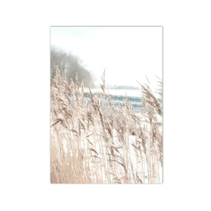 Silver Reeds Waterside Canvas Print