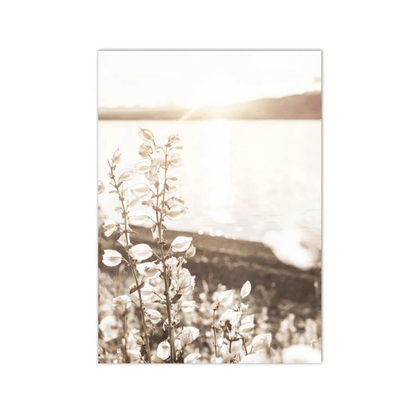 Golden Hour Wildflower Lake Canvas Print