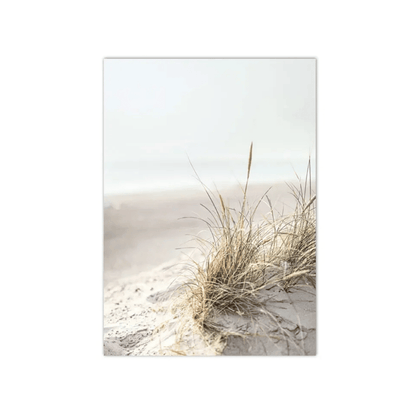 Dune Grass By The Sea Canvas Print