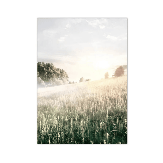 Where The Meadow Wakes Canvas Print