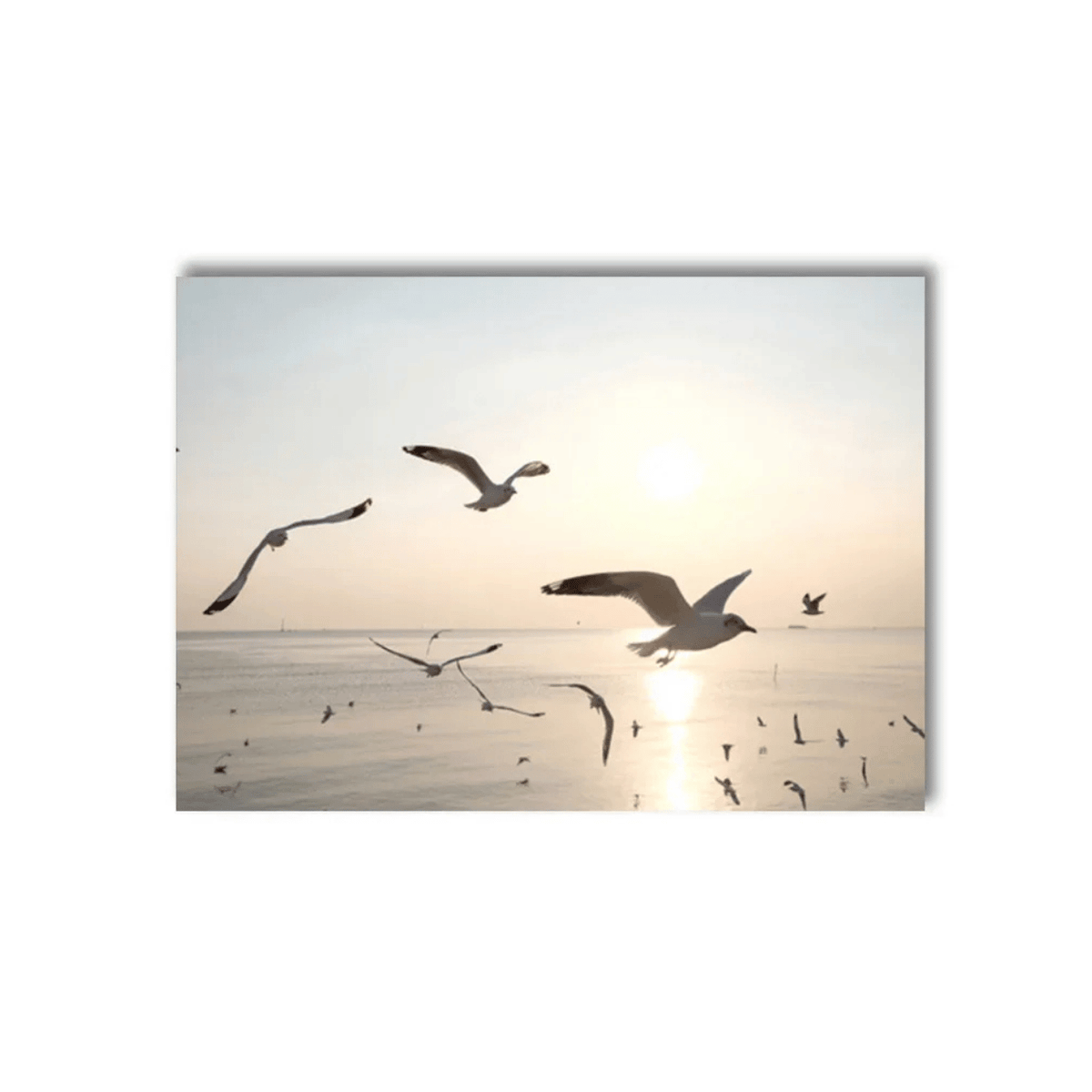 Golden Flight Seagull Canvas Print