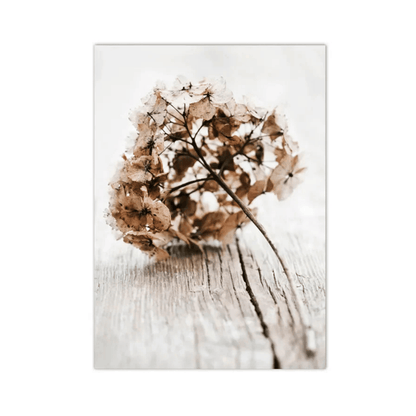 Faded Hydrangea Still Life Canvas Print