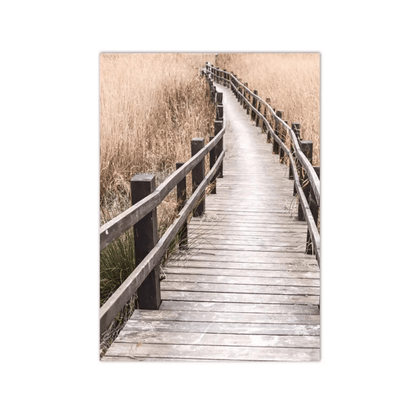 Whispering Reeds Boardwalk Canvas Print