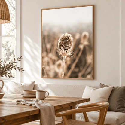 Winter Lace Seedhead Canvas Print
