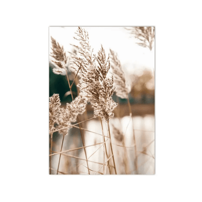 Feathered Reeds By The Water Canvas Print
