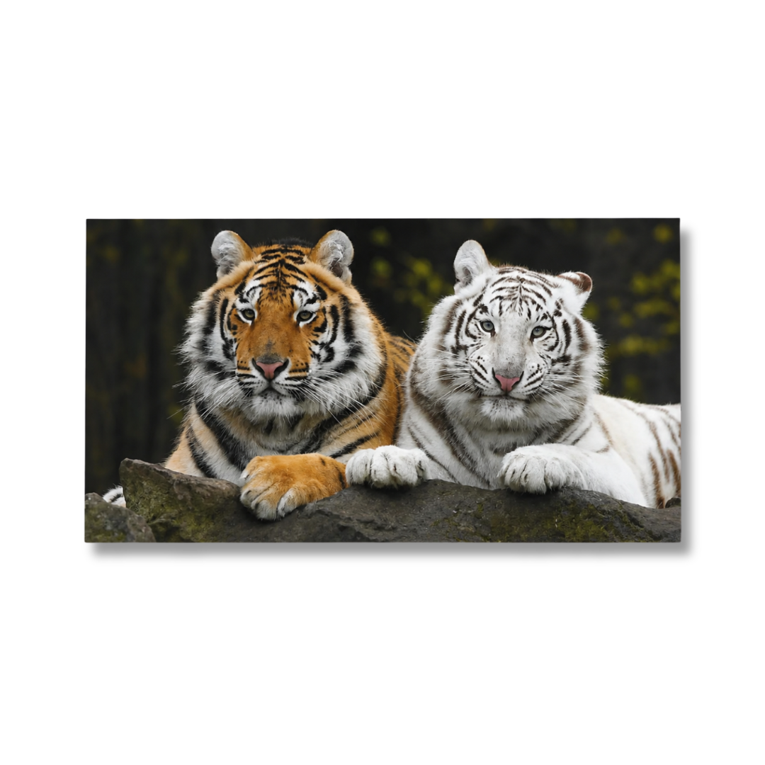 Twin Tigers Wild Portrait Panoramic Canvas Print