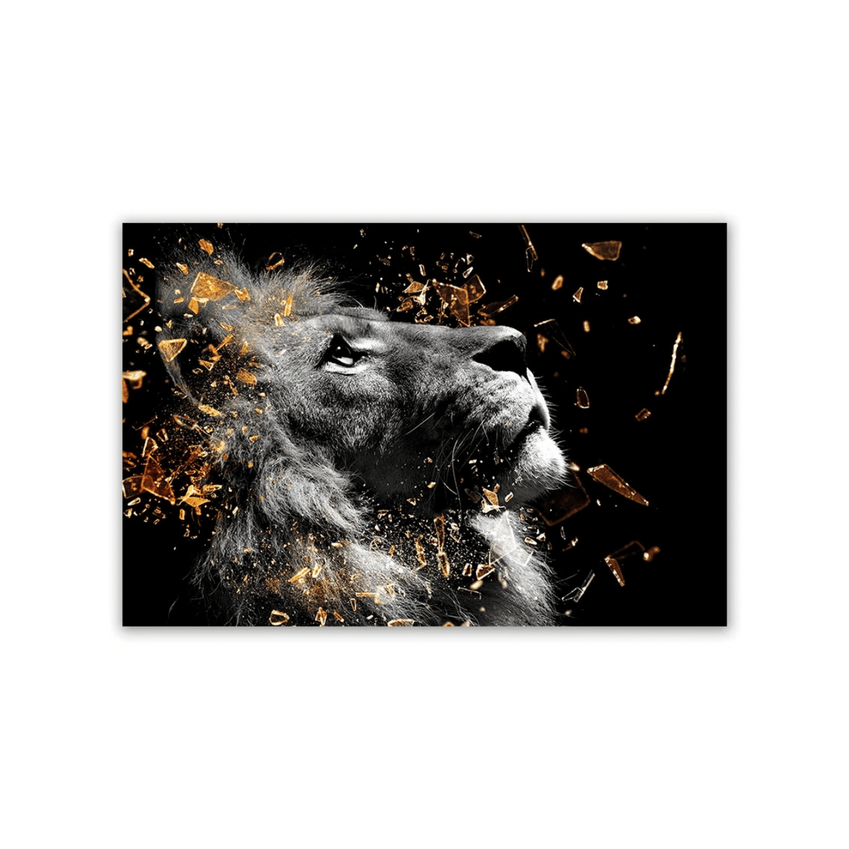 Shattered Gold Lion Canvas Print