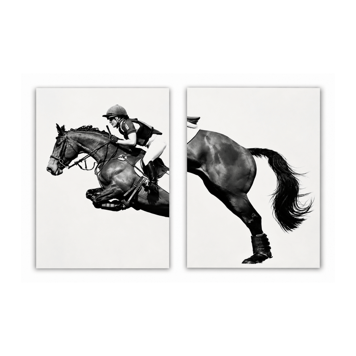 Equestrian Flight Diptych Canvas Print