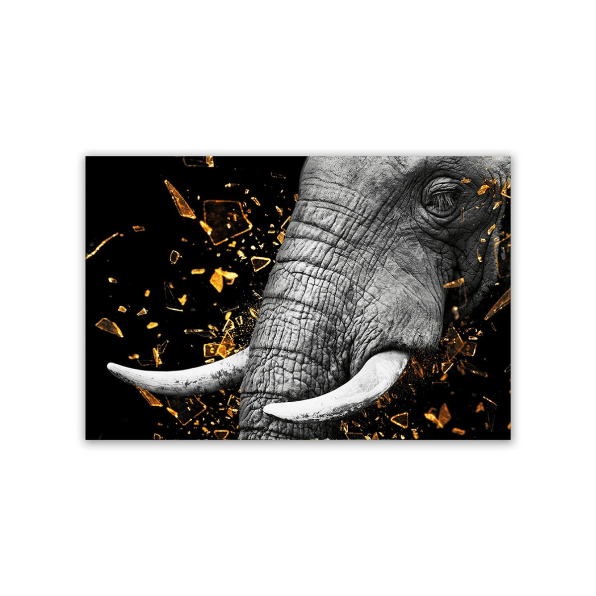 Golden Tusk Elephant Canvas Print