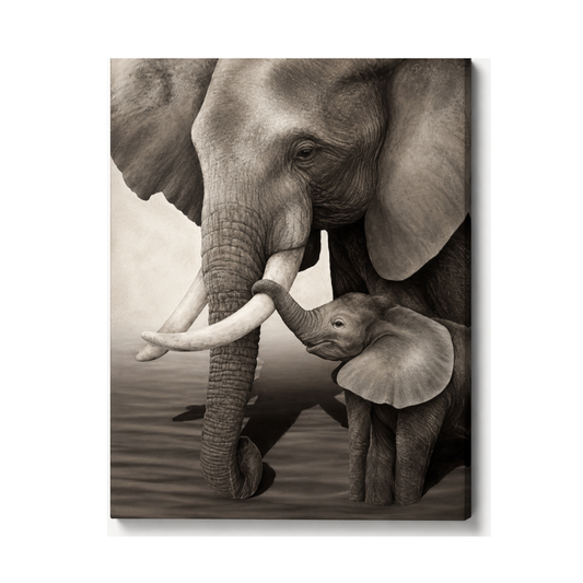 Elephant Family Canvas Print