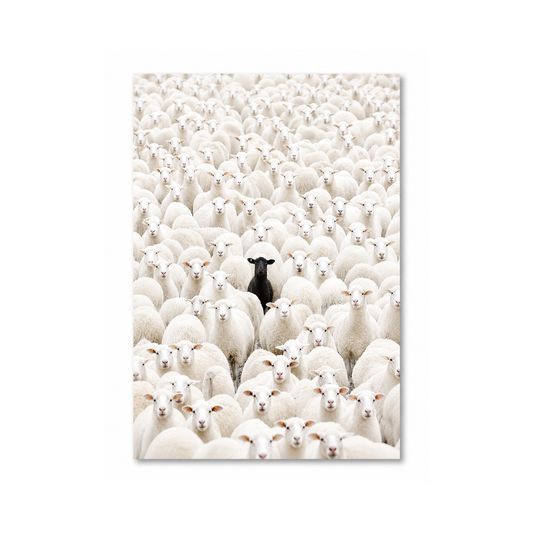 Black Sheep Art Deco Retro Canvas Print