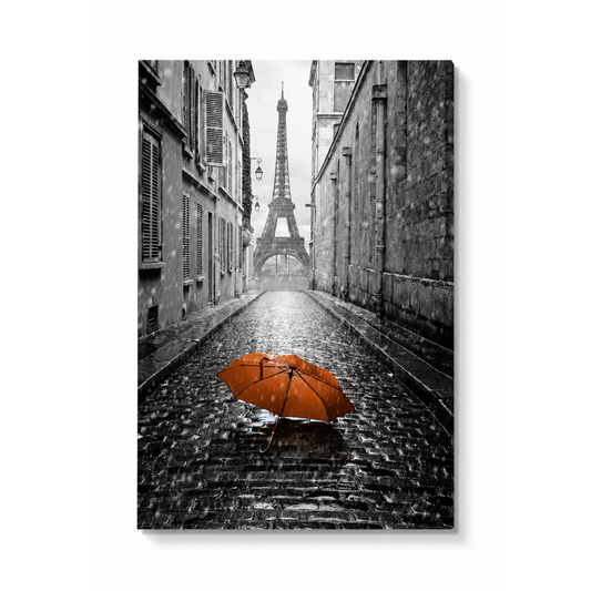 Romantic Paris Street View Canvas Print