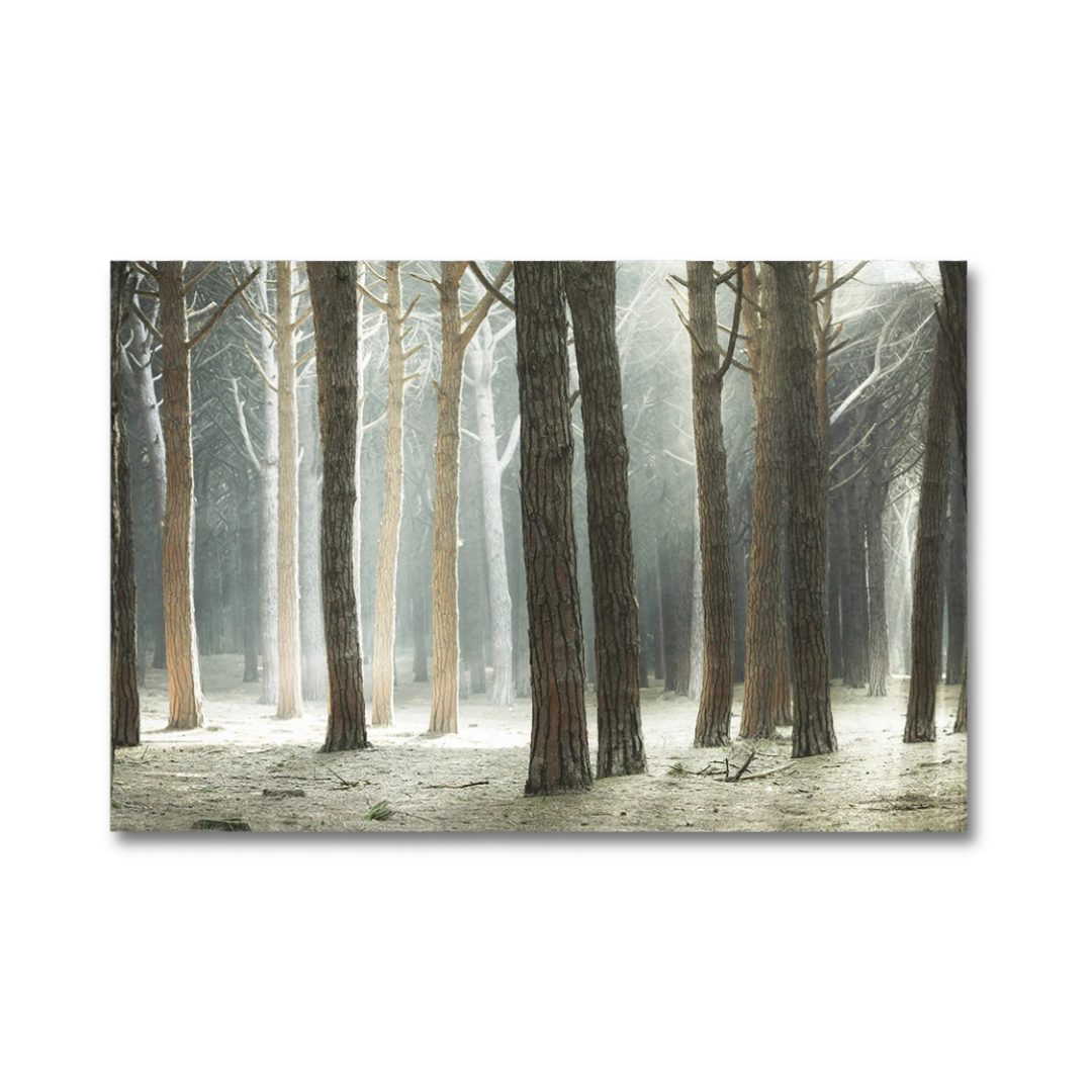 A rectangular wall art print showing a misty forest with tall tree trunks and pale ground, displayed against a plain white background.