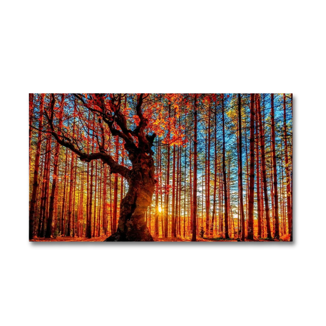 Emberwood Autumn Forest Panoramic Canvas Print