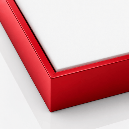 Red Metal Floating Canvas Frame