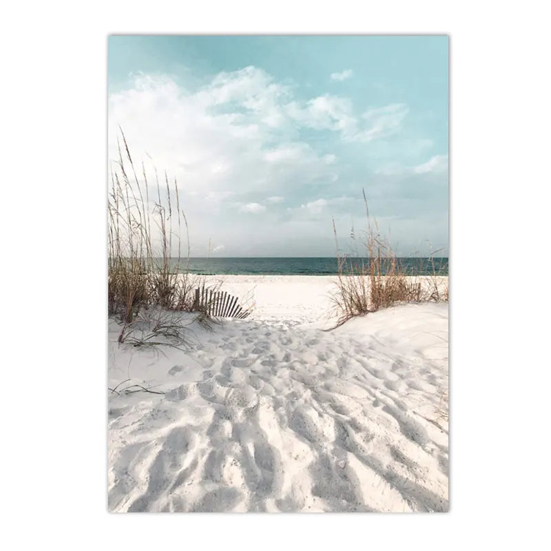 Ocean Beach Seagull & Starfish Canvas Print