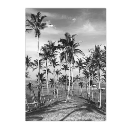 black and white starfish beach with palm tree sun and sea nordic canvas