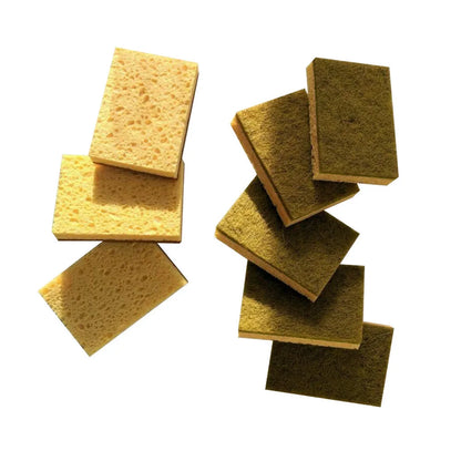 Eco-Friendly Biodegradable Sponges