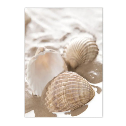 beige coastal collage with starfish shells boat bike and horse