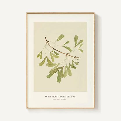 Nordic Leaf Canvas Print