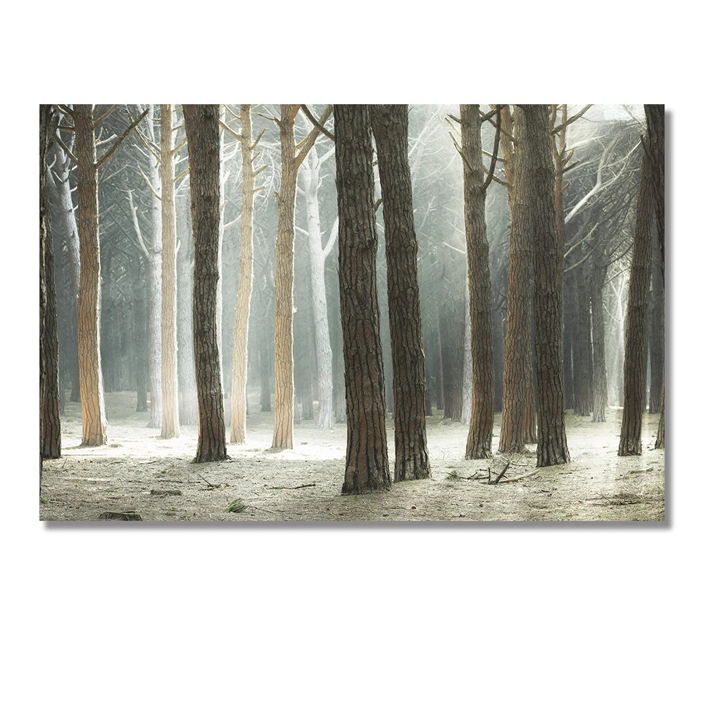 minimalist nordic landscape of mountain lake at sunset on canvas