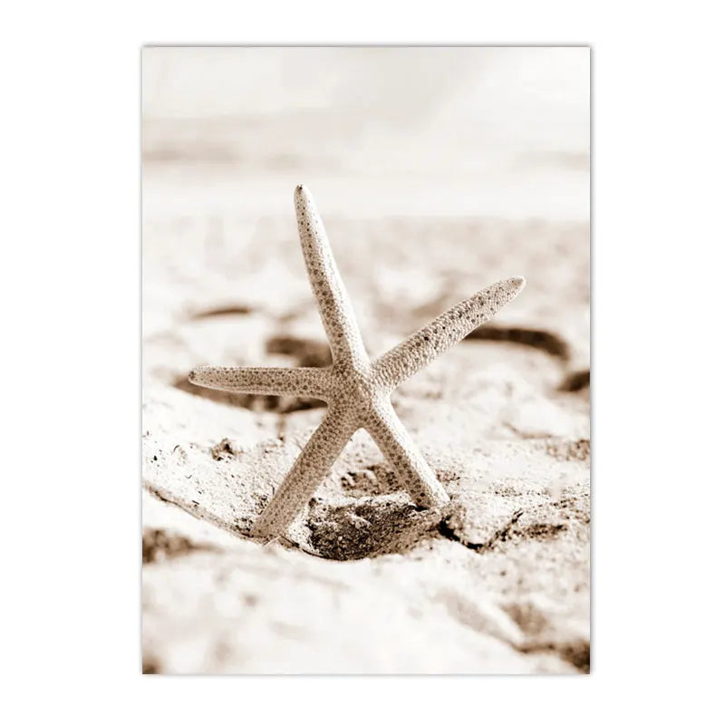 beige coastal collage with starfish shells boat bike and horse