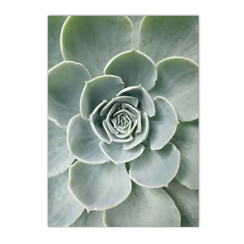 botanical canvas with succulents cactus and green leaves