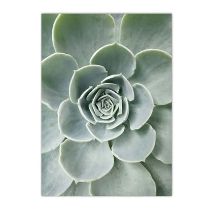 botanical canvas with succulents cactus and green leaves