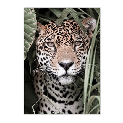leopard in tropical jungle with palm and monstera leaves on canvas