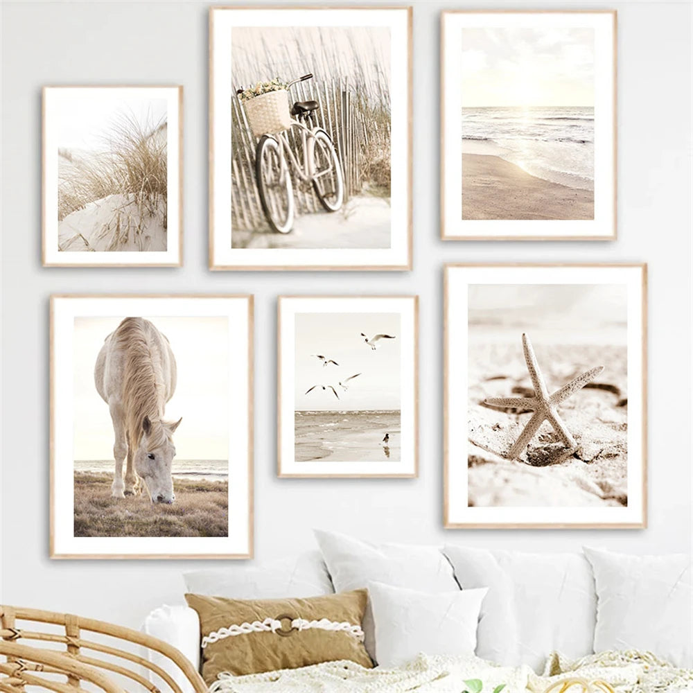 beige coastal collage with starfish shells boat bike and horse