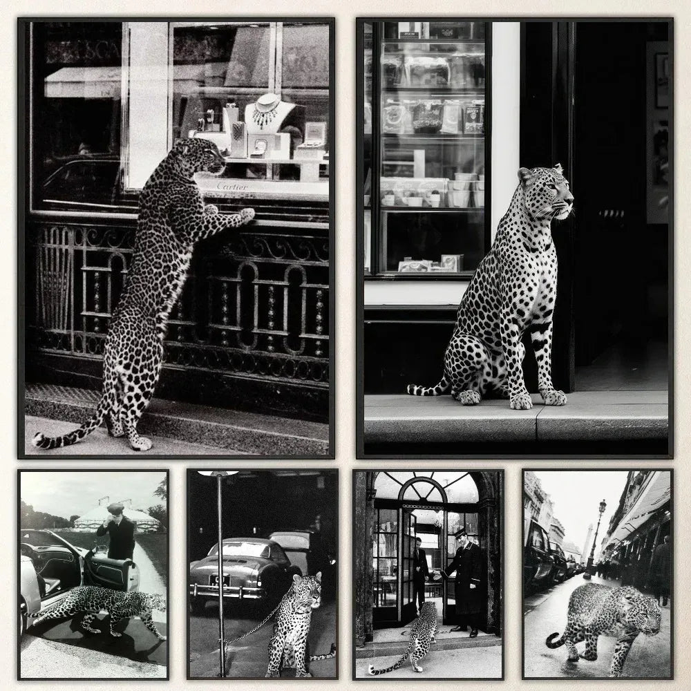 Black & White Fashion Leopard Canvas