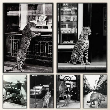 Black & White Fashion Leopard Canvas