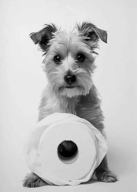 Funny Animal Bathroom Canvas Print