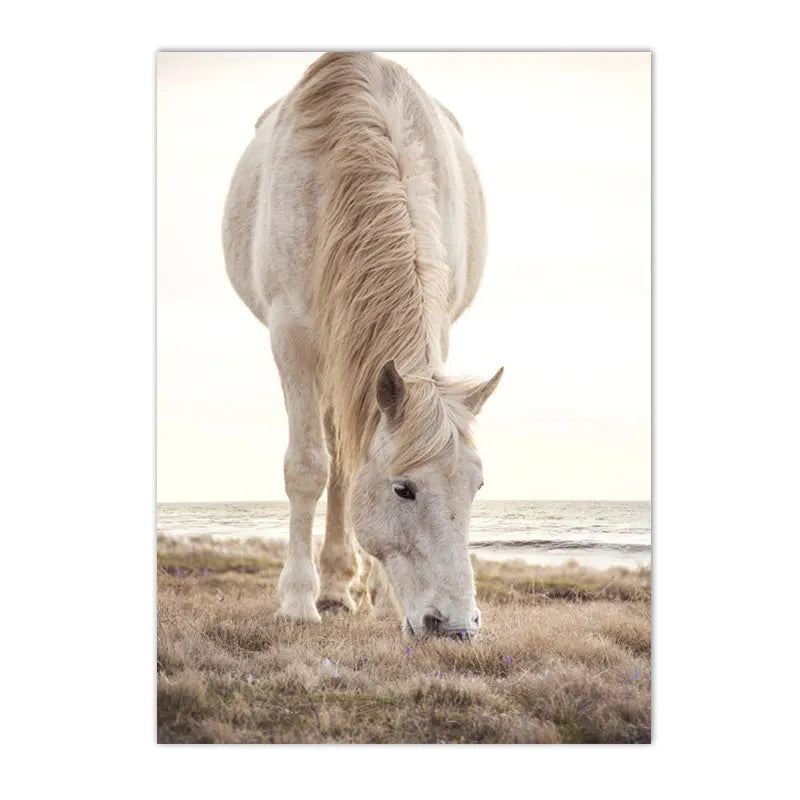 beige coastal collage with starfish shells boat bike and horse