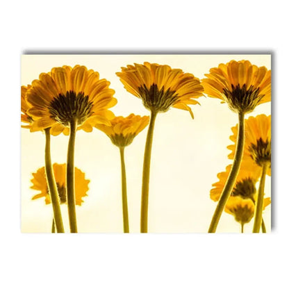 roses with lemons and oranges Nordic floral canvas wall art