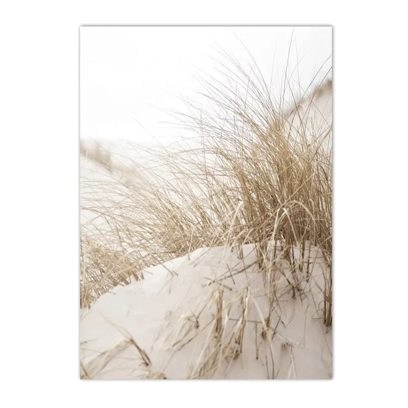 beige coastal collage with starfish shells boat bike and horse