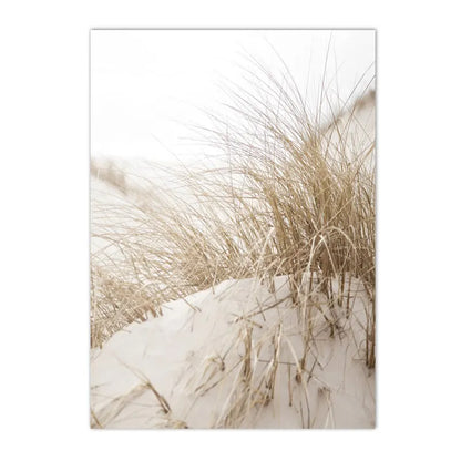 beige coastal collage with starfish shells boat bike and horse