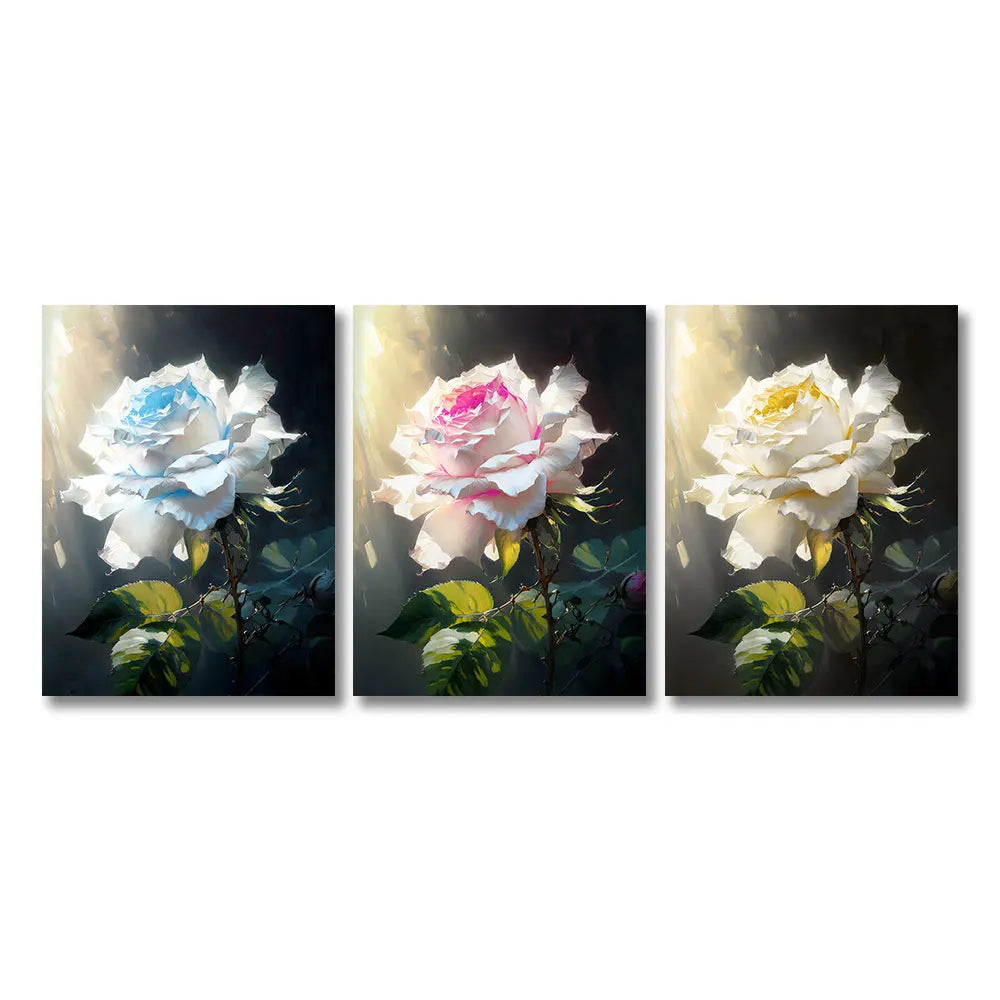 Modern Rose Canvas - Set Of 3