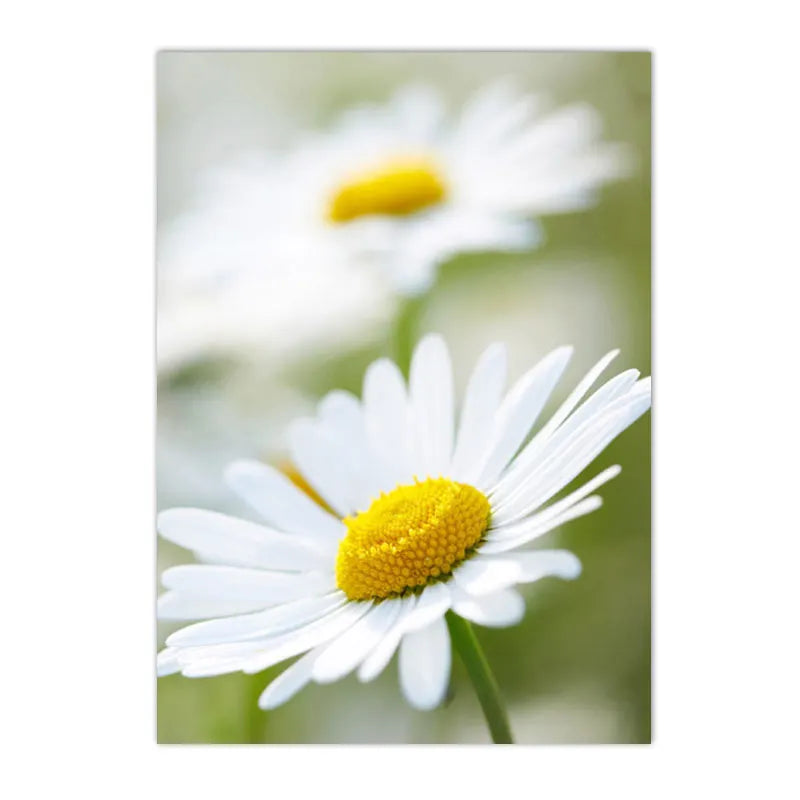 spring landscape with daisies lemons and bike canvas wall art