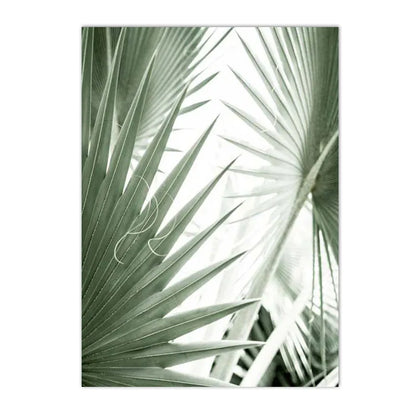 botanical canvas with succulents cactus and green leaves