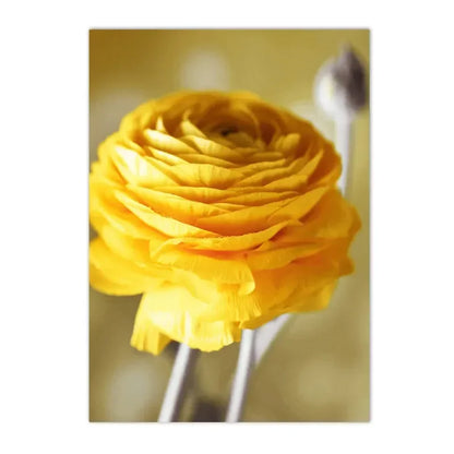 roses with lemons and oranges Nordic floral canvas wall art