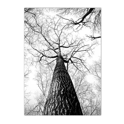black and white foggy forest canvas with tree branch and deer