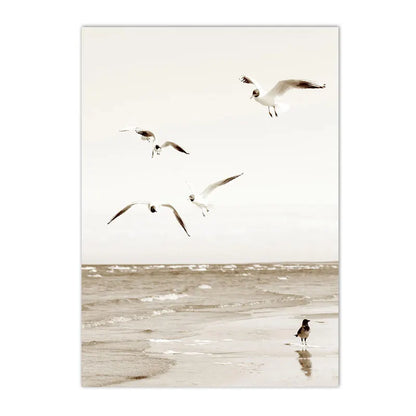 beige coastal collage with starfish shells boat bike and horse