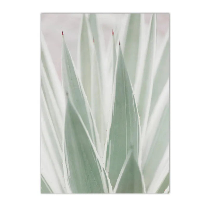 botanical canvas with succulents cactus and green leaves